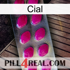 Cial 09